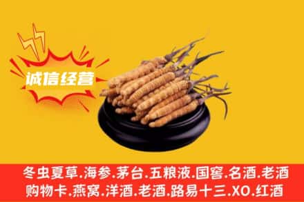 汕尾市陆丰回收冬虫夏草